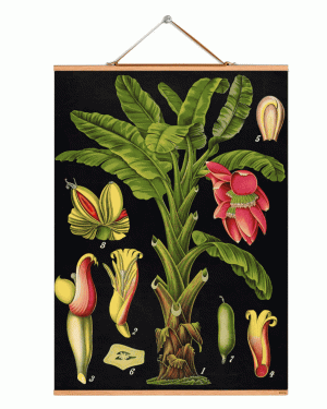 Poster textil con marco